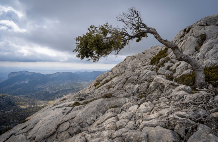 Colleyville: The Importance of Resilience in Overcoming Trauma